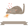 A cat in love