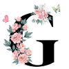 Letter g pink flowers
