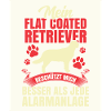 Flat Coated Retriever Protects Me