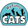 My funny cats