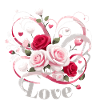 Love Valentine's Day Roses