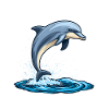Dolphin