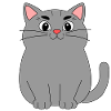 Gray Cat