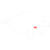 Dugong