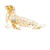 Sea Lion Geometric