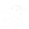 Ladybug 01
