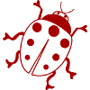 Ladybug 1