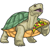 Turtle Pizza