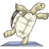 Turtle Yoga Fitness Gymnastics