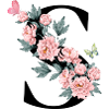 Letter s pink flowers