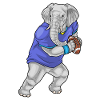 Elephant American Football