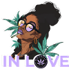 IN LOVE WITH CANNABIS