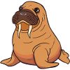 Walrus Sea Creatures Animals