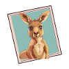 Kangaroo Kaengaroo Sydney
