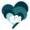 Photography Camera Image