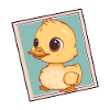 Beak Bird Quacking