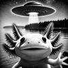Drôle axolotl selfie OVNI extraterrestre