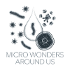 MICROSCOPIC ORGANISM