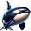 Orca Killer Whale