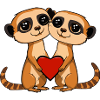 Suricate Couple Saint-Valentin