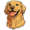 Retriever Golden Dog