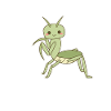 Elegant Praying Mantis
