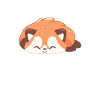 Adorable Red Panda