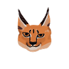Majestic caracal