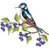 Bunter Vogel