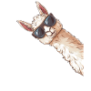 Lustig Lama Alpaka Sonnenbrille