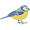 small blue, multicoloured