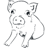 Piglet, graphic black and white