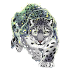 Schneeleopard Leopard Raubkatze