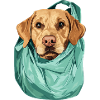 Labrabag