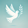 Peace Symbol: White Dove