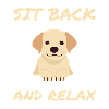 Cute Labrador