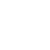 Stabyhoun