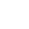 Kelpie australien Australischer Kelpie