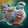 Turtle Dove
