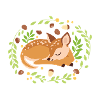 Sleeping fawn