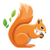 Playful squirrel print with leaves