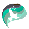 Pigeon pigeons