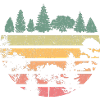 Forest Nature Landscape