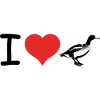 I love Ducks - Pet Design