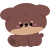 Cute Rottweiler