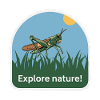 GRASSHOPPER