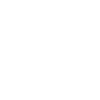 Auctioneer Fabulous Auctioneer Mom
