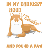 Shiba inu Dog