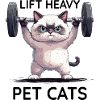 Gym Musculation Chat