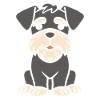 Schnauzer